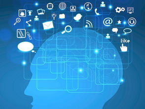 网络营销的重要性 互联网销售的新引擎